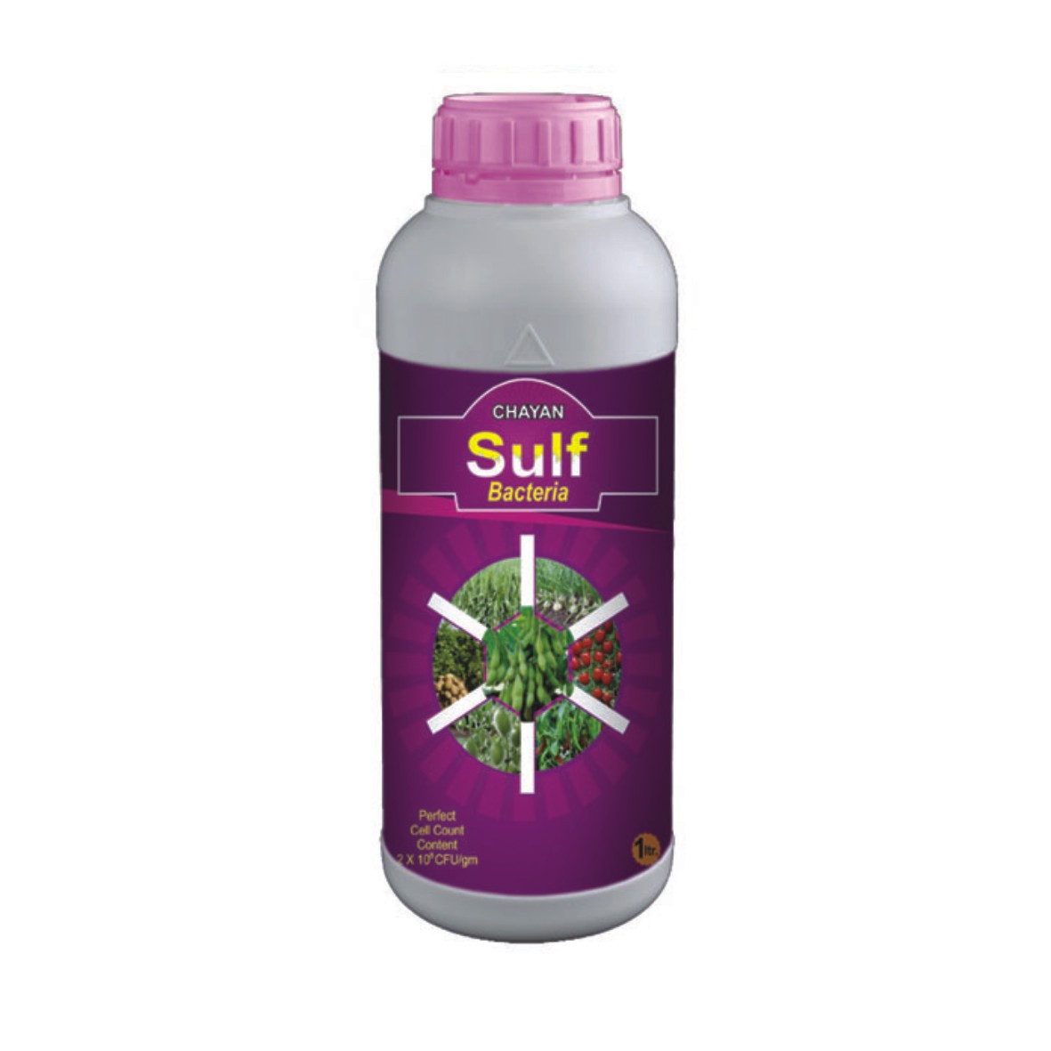  CHAYAN SULF  Solubilising Bacteria for sulf mobilization in the soil for easy absorption of sulfer by roots fr