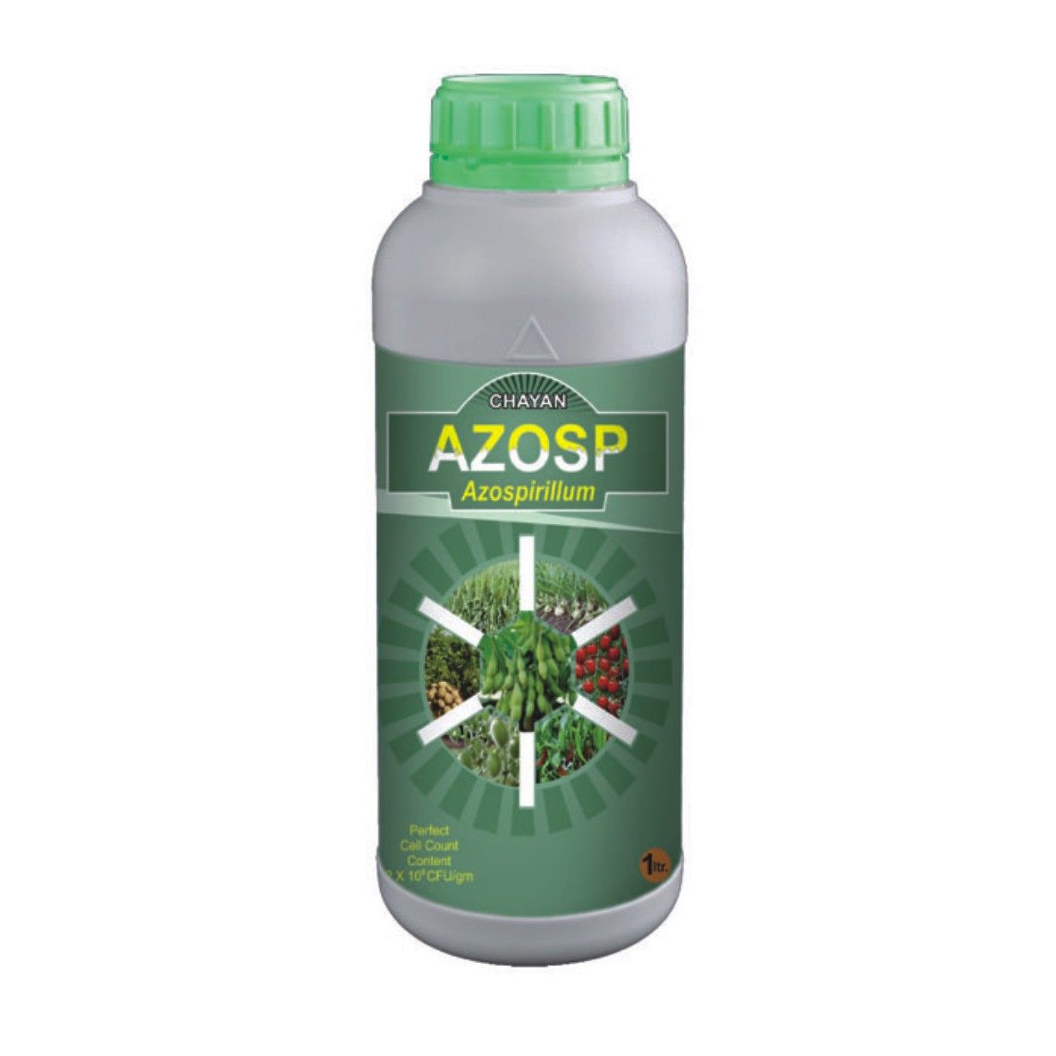 CHAYAN AZOSP Azospirillum spp for nitrogen fixing in the soil for easy absorption of fixed nitrogen in soil by 