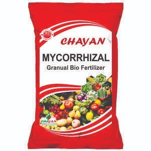 MYCORRHIZAL Granual Bio Fertilizer
